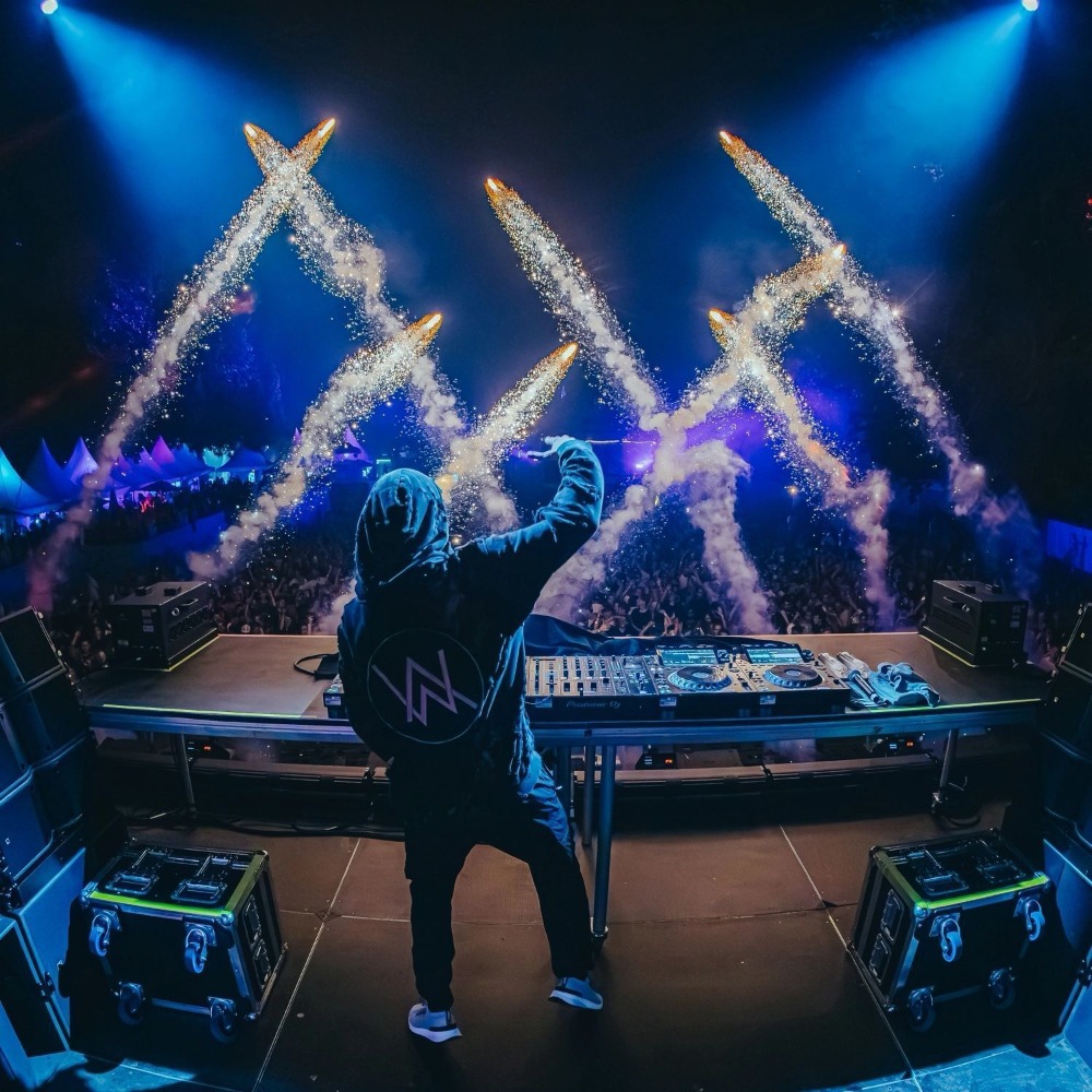 Alan Walker EDM Compilation CD - Electronics For Home avis et prix